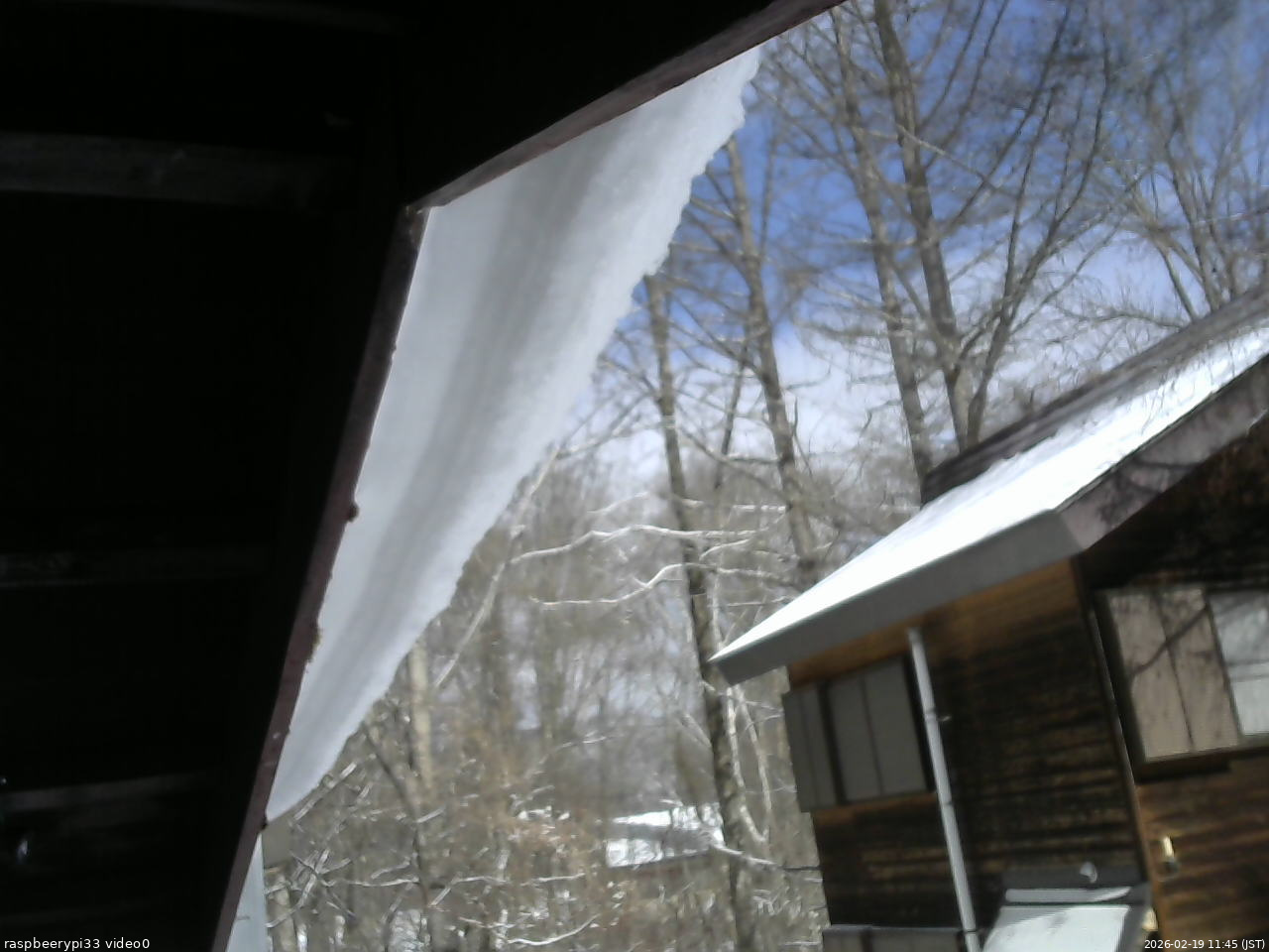 長野県菅平高原 ゆたか山荘 北側 2026/02/19 11:45