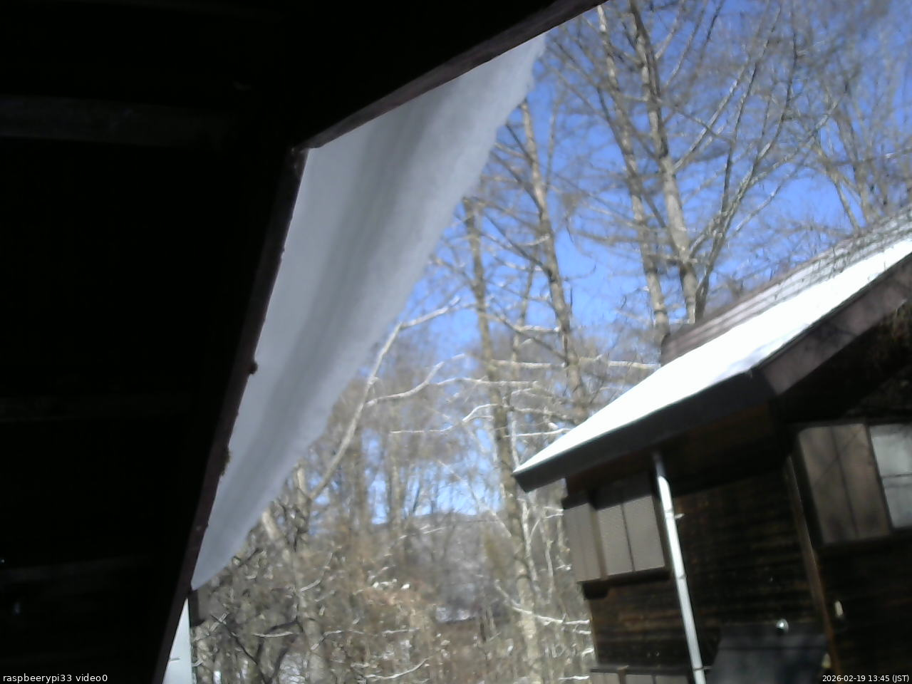 長野県菅平高原 ゆたか山荘 北側 2026/02/19 13:45
