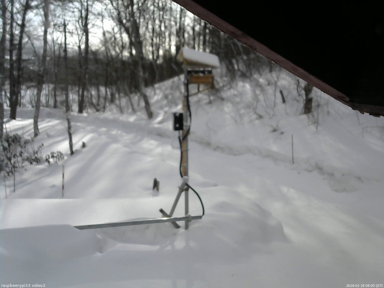 長野県菅平高原 ゆたか山荘 南側 2026/02/19 08:00