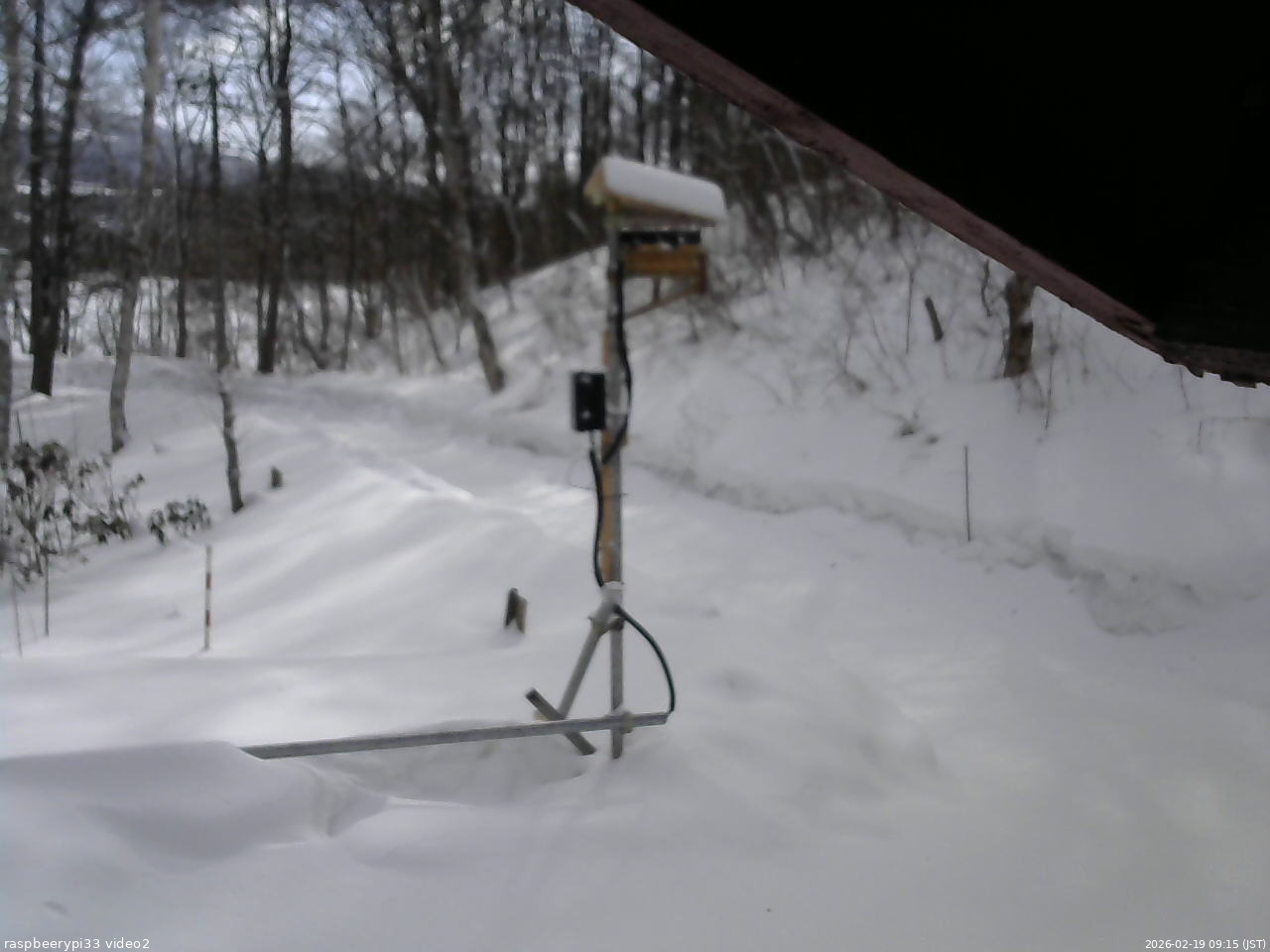 長野県菅平高原 ゆたか山荘 南側 2026/02/19 09:15