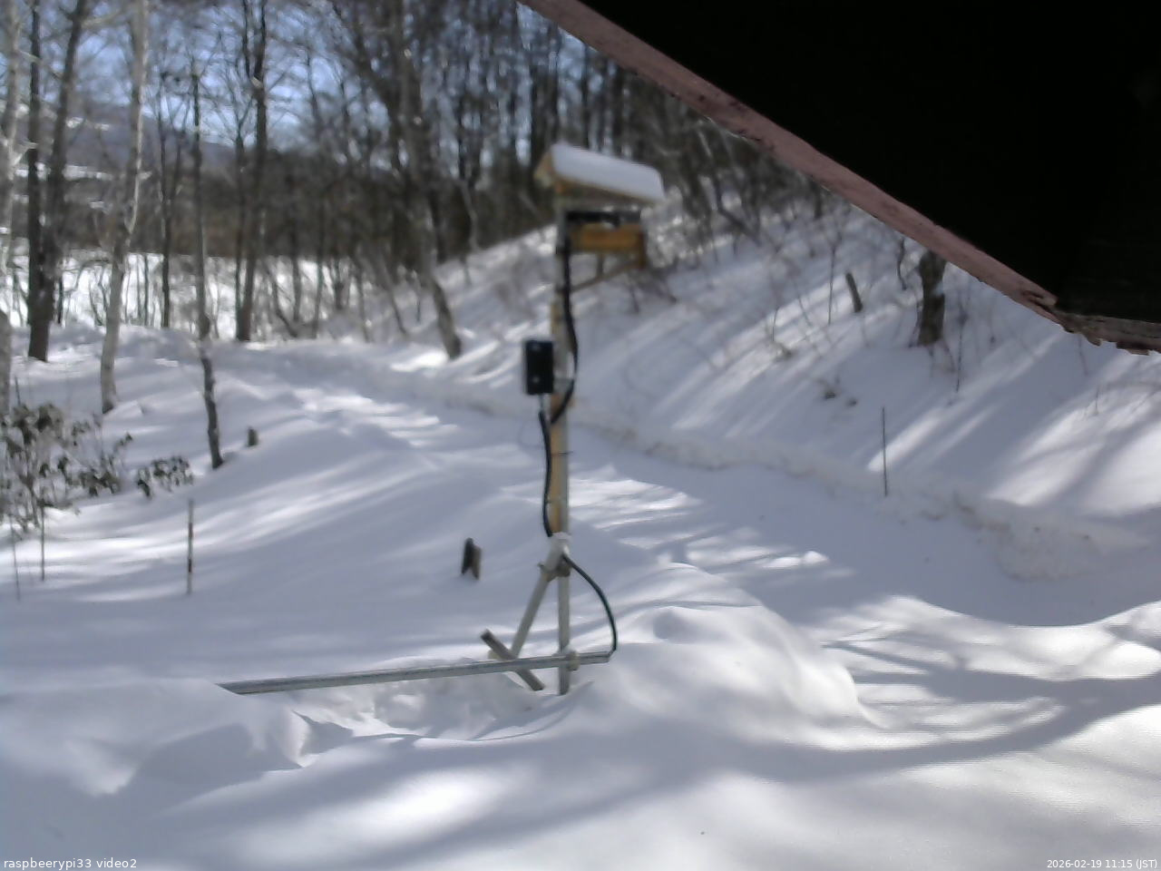 長野県菅平高原 ゆたか山荘 南側 2026/02/19 11:15