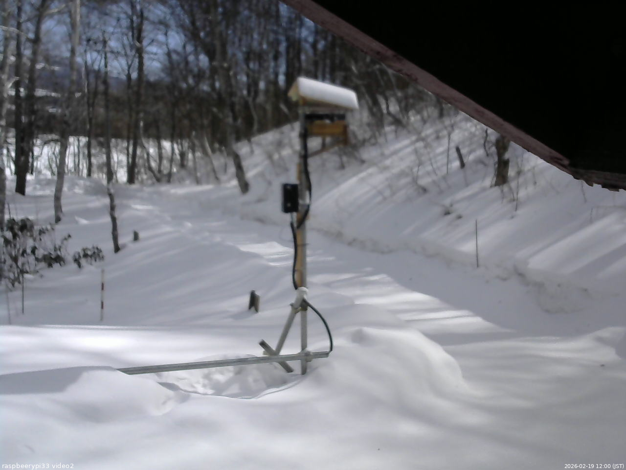 長野県菅平高原 ゆたか山荘 南側 2026/02/19 12:00