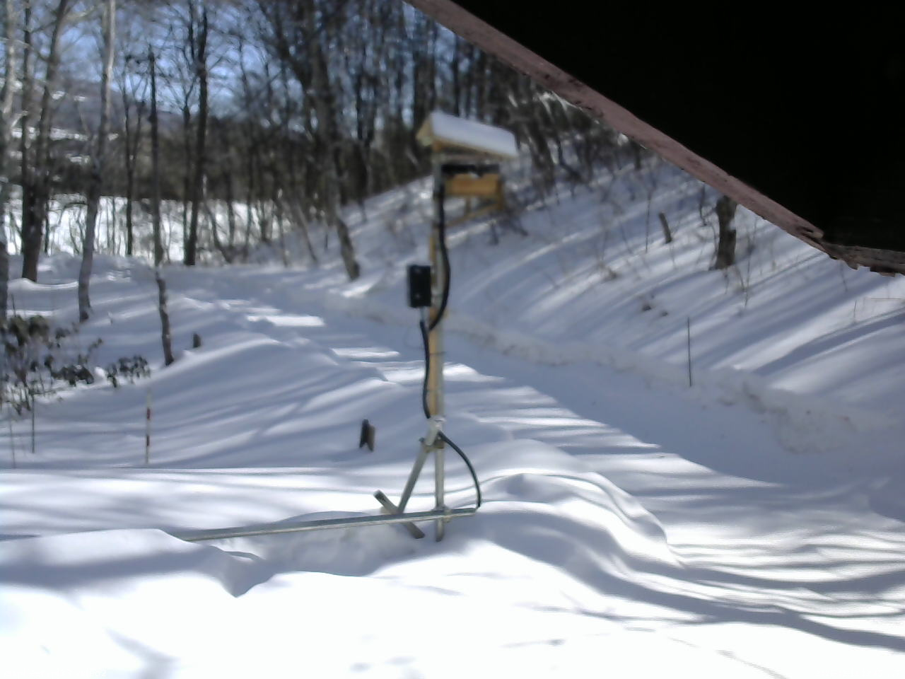 長野県菅平高原 ゆたか山荘 南側 2026/02/19 12:45