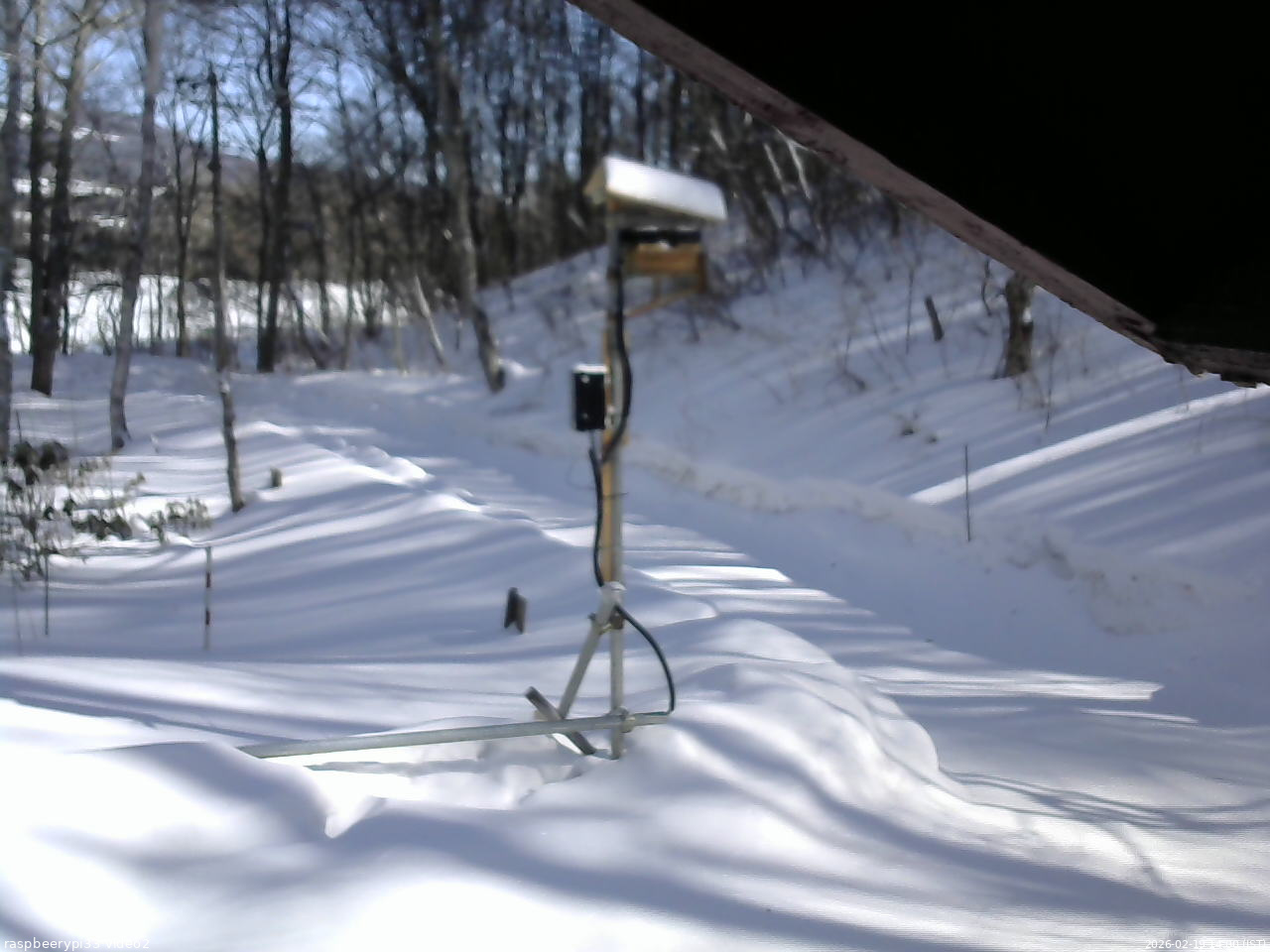 長野県菅平高原 ゆたか山荘 南側 2026/02/19 14:00