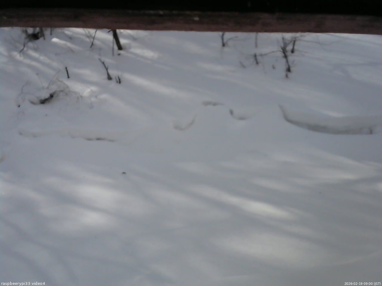 長野県菅平高原 ゆたか山荘 東側(坂下) 2026/02/19 09:00