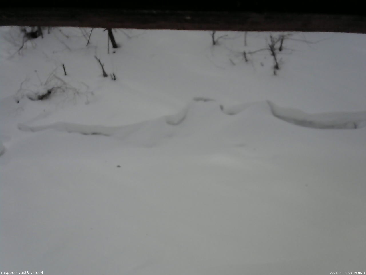 長野県菅平高原 ゆたか山荘 東側(坂下) 2026/02/19 09:15