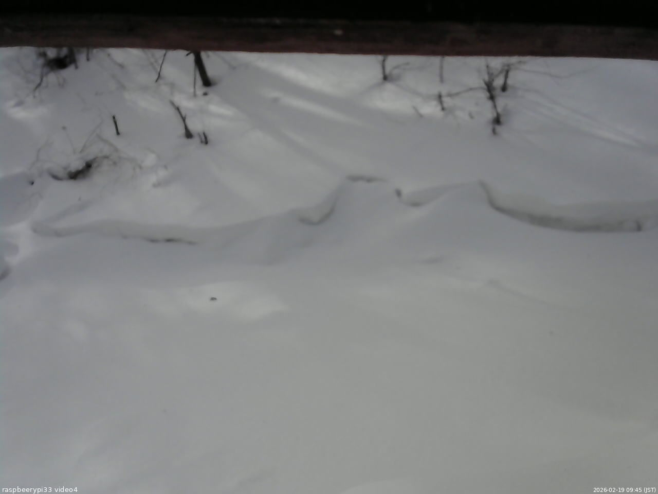 長野県菅平高原 ゆたか山荘 東側(坂下) 2026/02/19 09:45