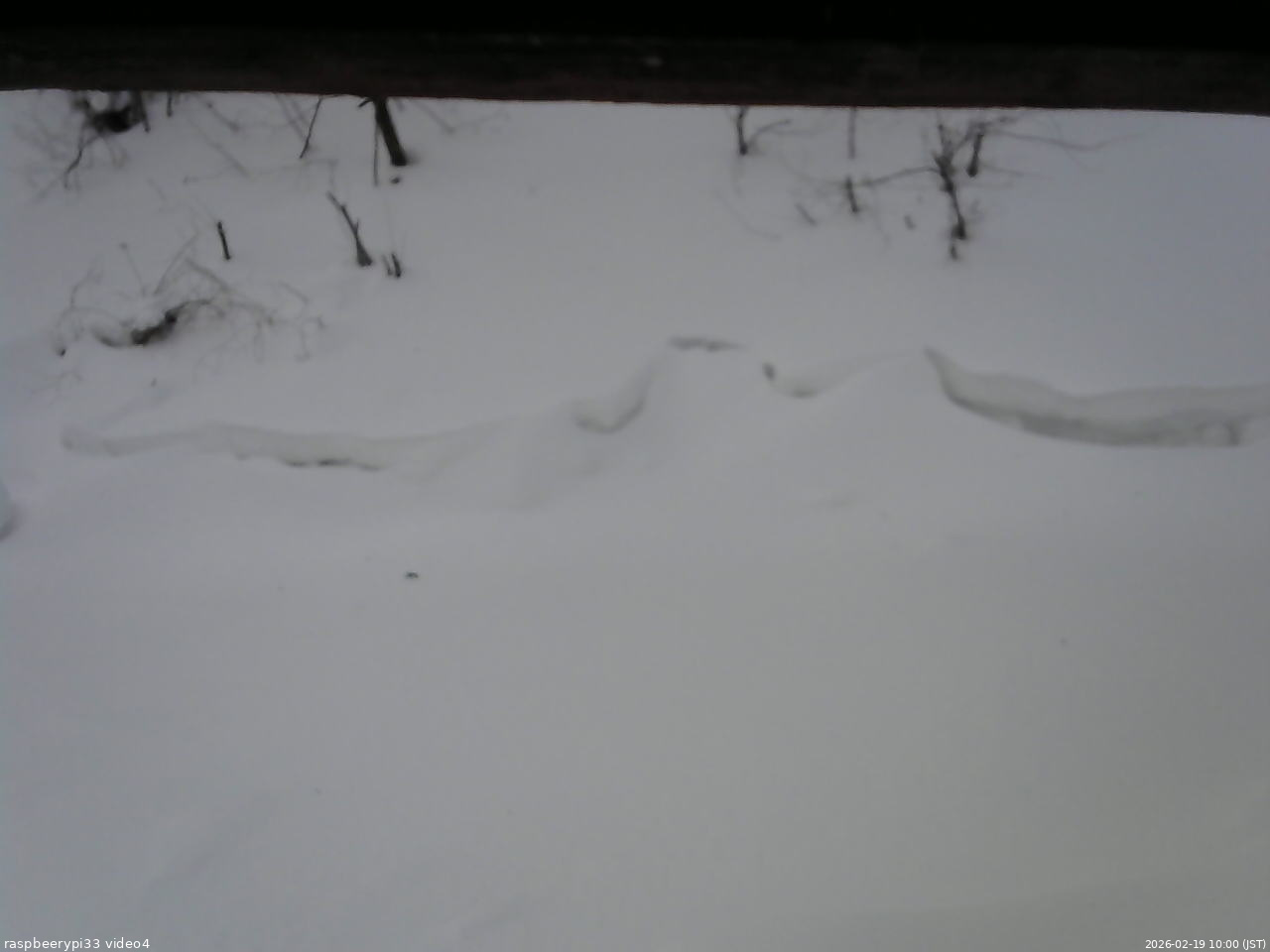 長野県菅平高原 ゆたか山荘 東側(坂下) 2026/02/19 10:00