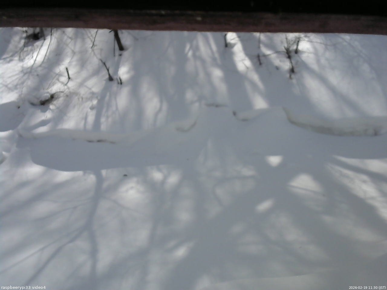 長野県菅平高原 ゆたか山荘 東側(坂下) 2026/02/19 11:30