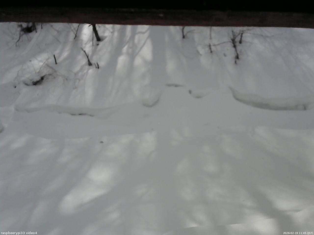 長野県菅平高原 ゆたか山荘 東側(坂下) 2026/02/19 11:45