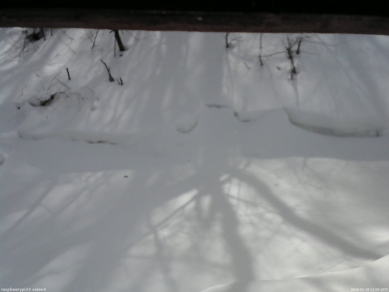 長野県菅平高原 ゆたか山荘 東側(坂下) 2026/02/19 12:00