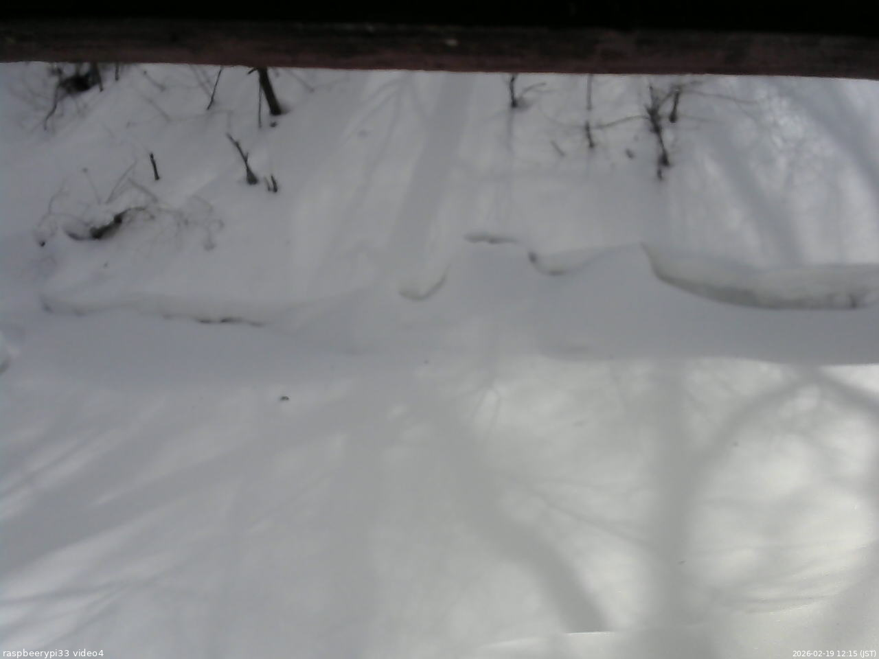 長野県菅平高原 ゆたか山荘 東側(坂下) 2026/02/19 12:15