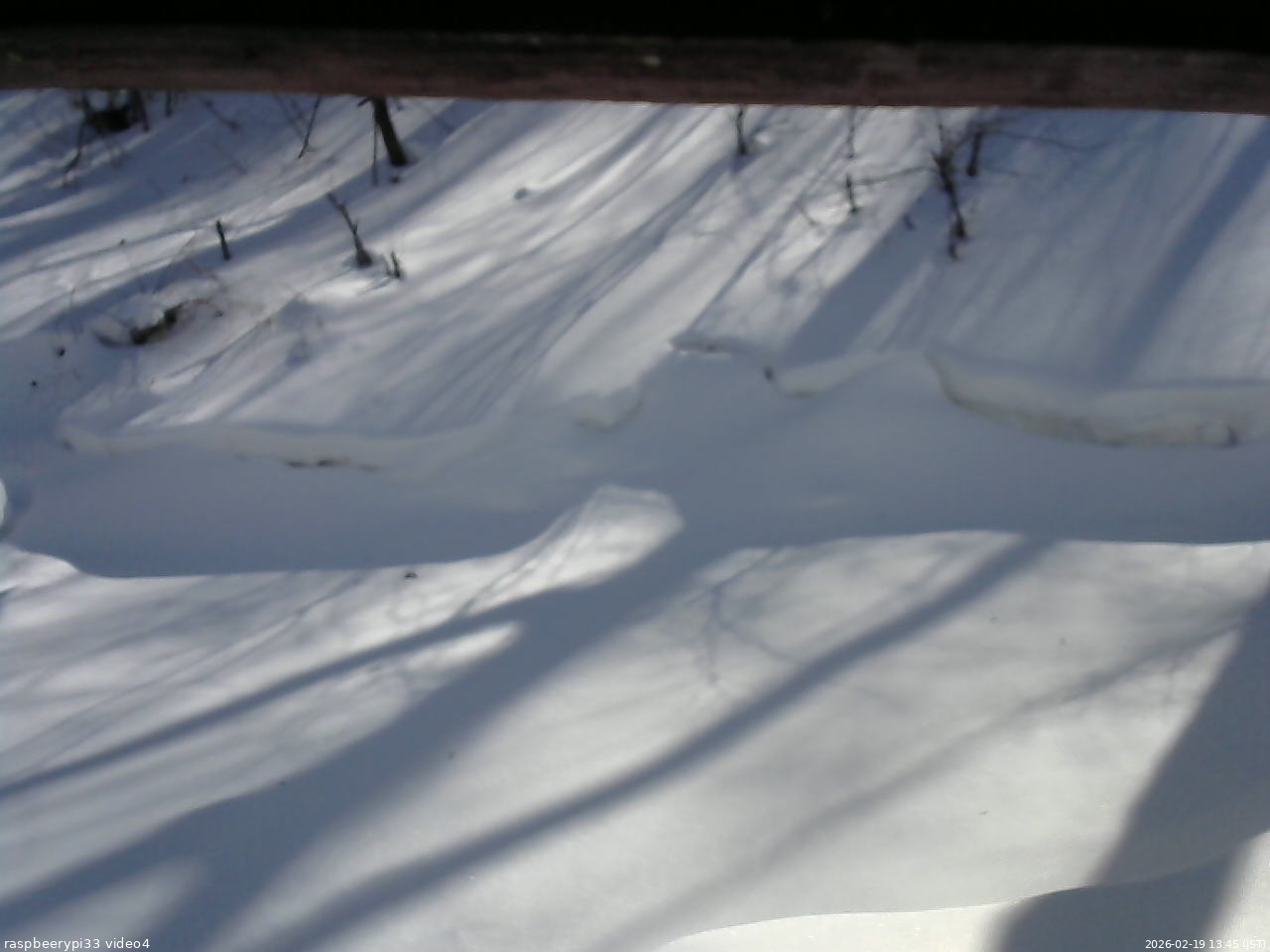 長野県菅平高原 ゆたか山荘 東側(坂下) 2026/02/19 13:45