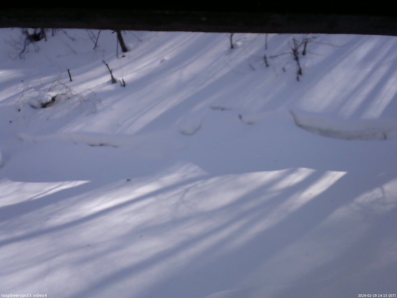長野県菅平高原 ゆたか山荘 東側(坂下) 2026/02/19 14:15