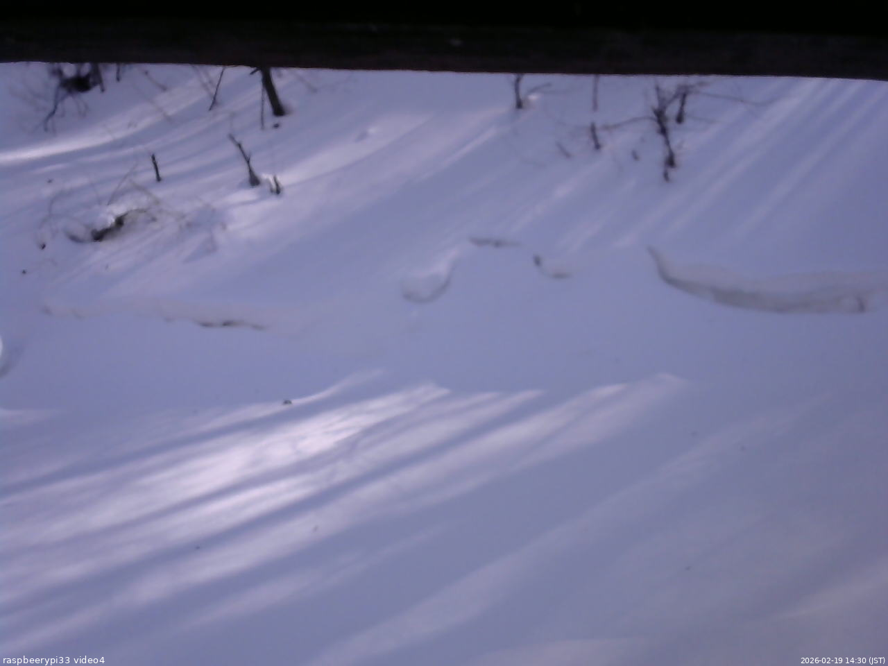 長野県菅平高原 ゆたか山荘 東側(坂下) 2026/02/19 14:30