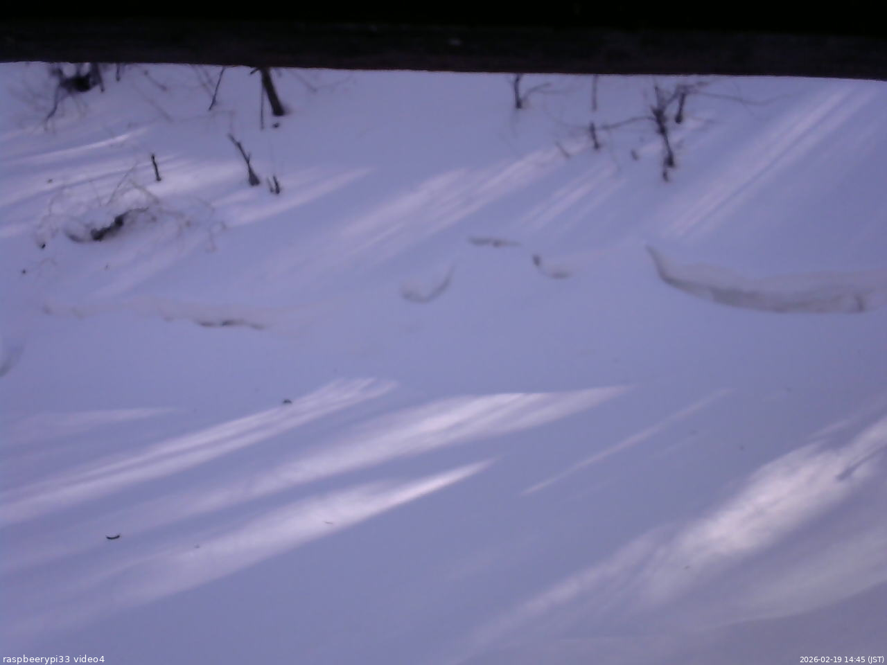 長野県菅平高原 ゆたか山荘 東側(坂下) 2026/02/19 14:45