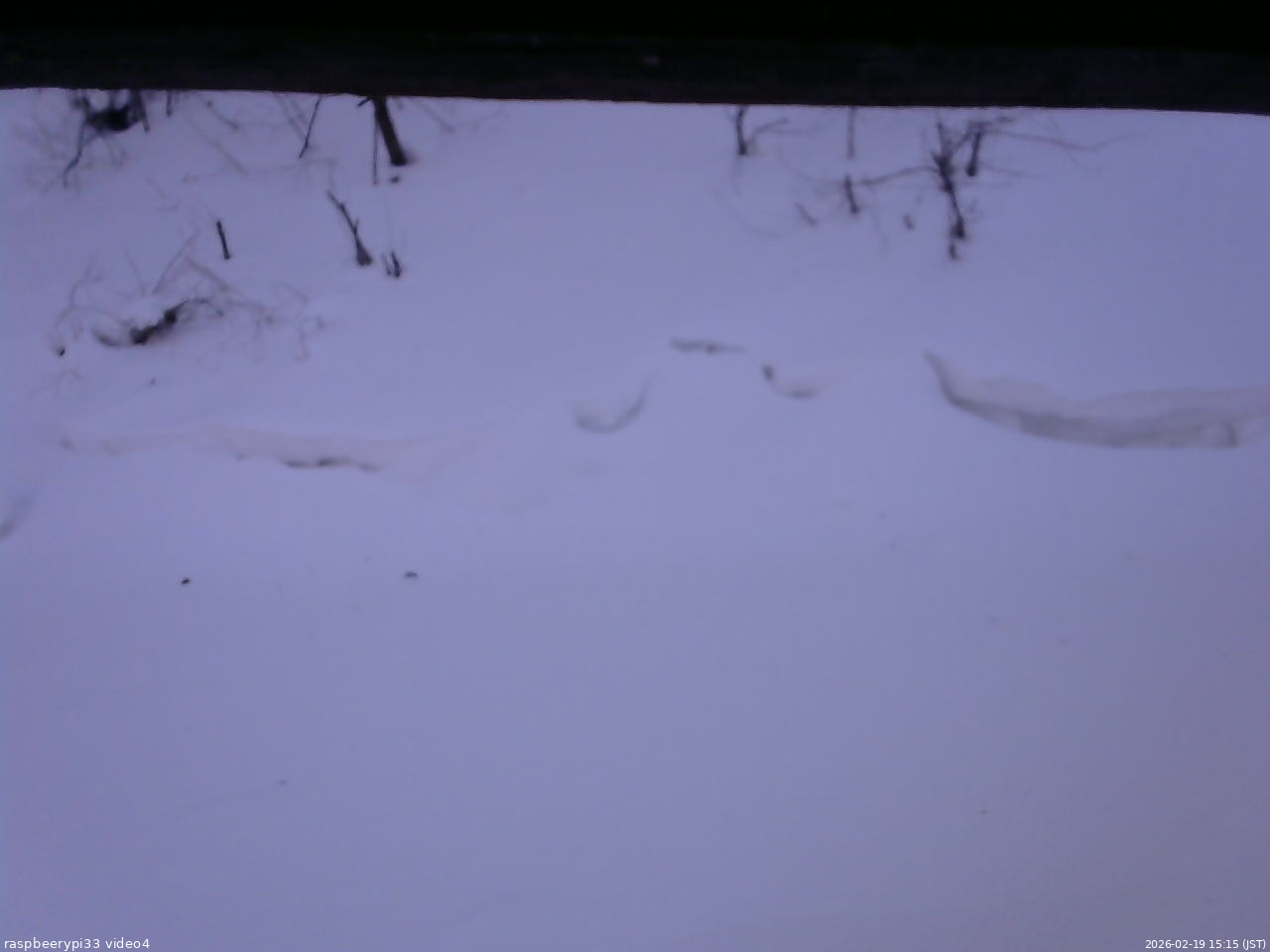長野県菅平高原 ゆたか山荘 東側(坂下) 2026/02/19 15:15