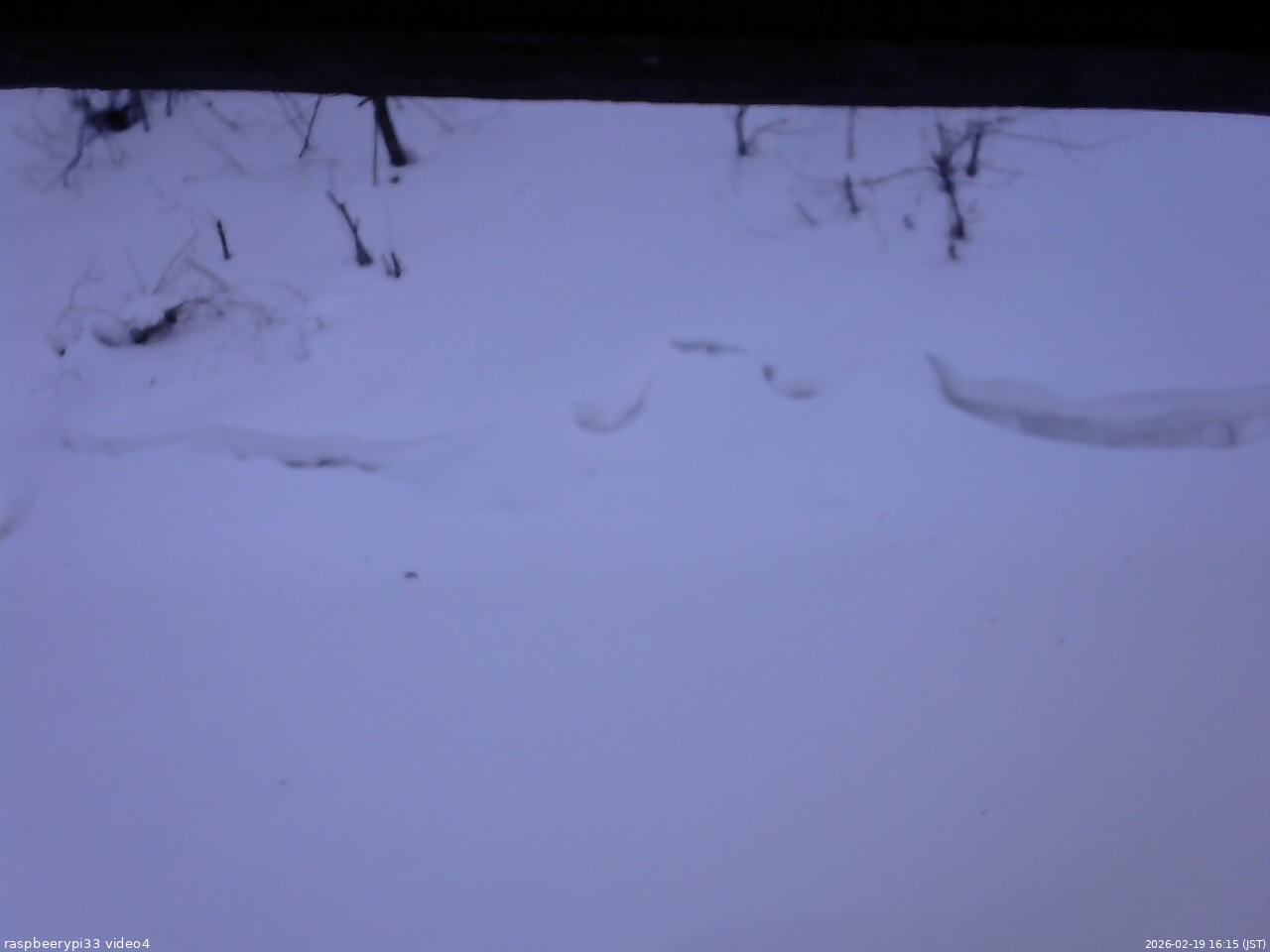 長野県菅平高原 ゆたか山荘 東側(坂下) 2026/02/19 16:15