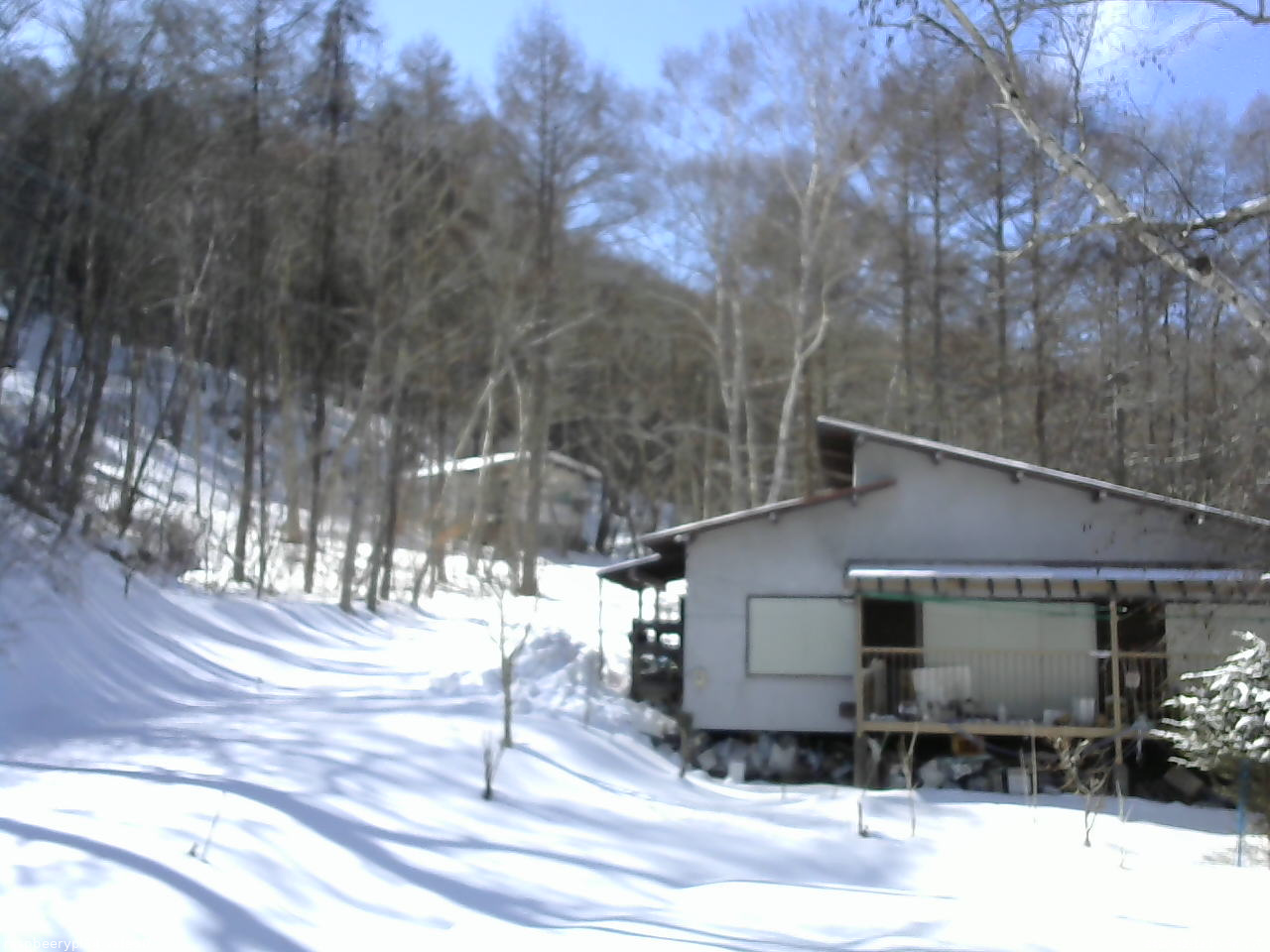 長野県菅平高原 ゆたか山荘 西側(坂上) 2026/02/19 13:30