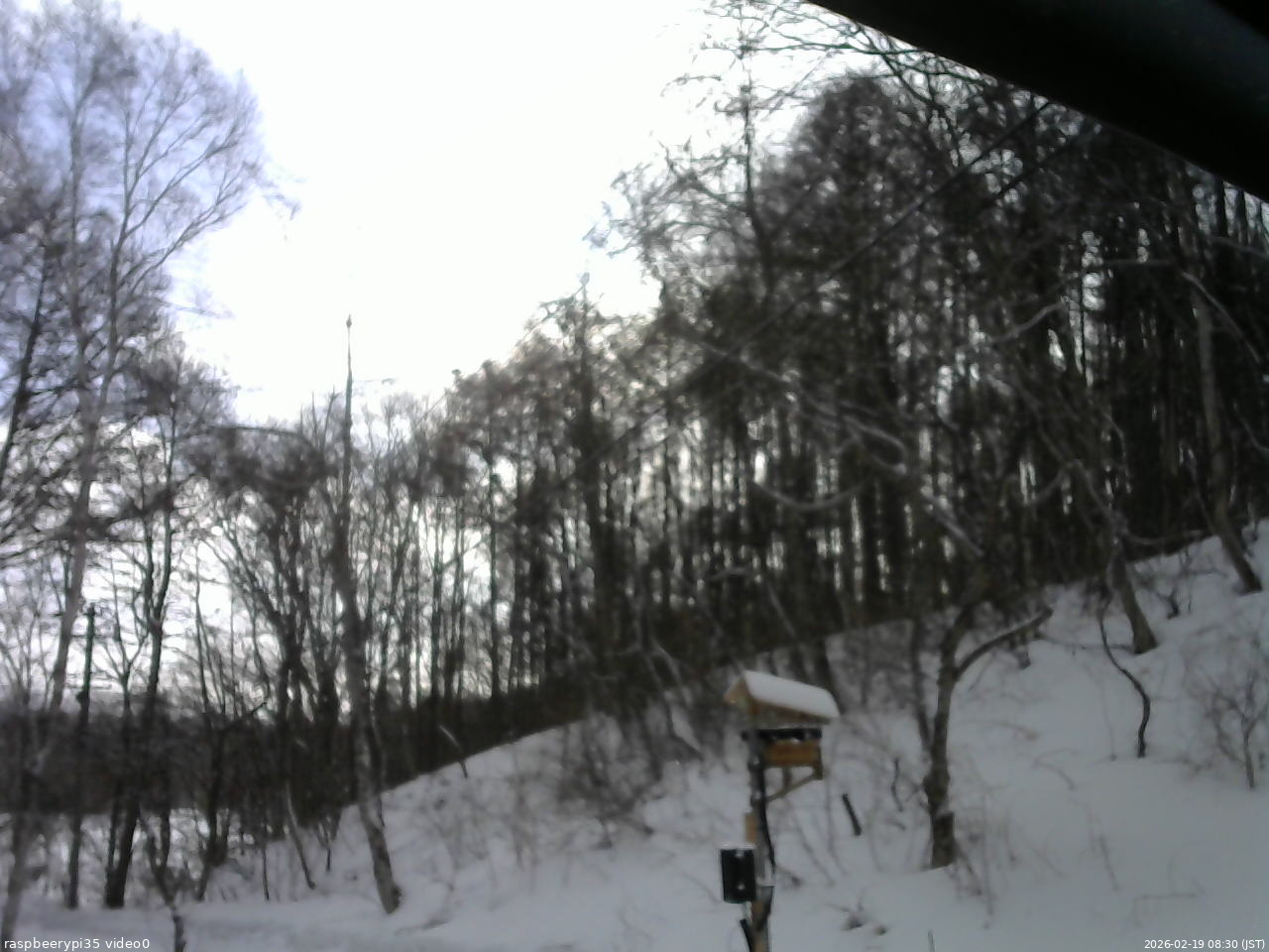 長野県菅平高原 ゆたか山荘 温度計 2026/02/19 08:30