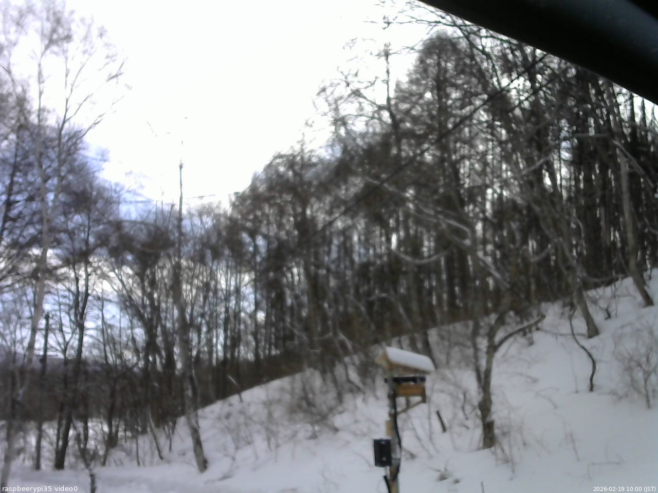 長野県菅平高原 ゆたか山荘 温度計 2026/02/19 10:00