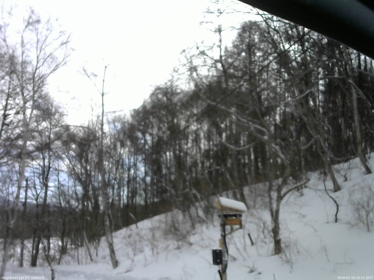長野県菅平高原 ゆたか山荘 温度計 2026/02/19 10:15