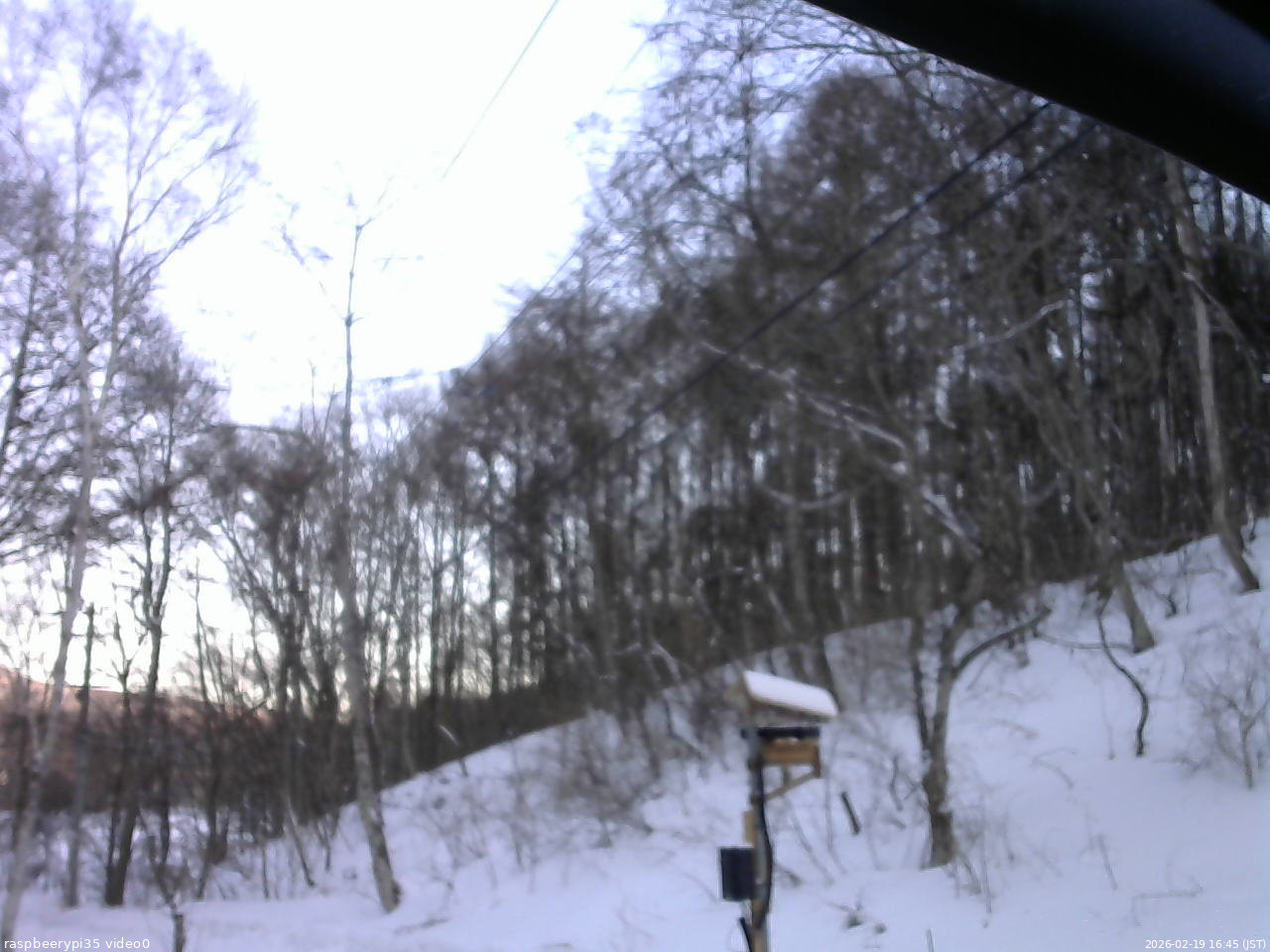 長野県菅平高原 ゆたか山荘 温度計 2026/02/19 16:45