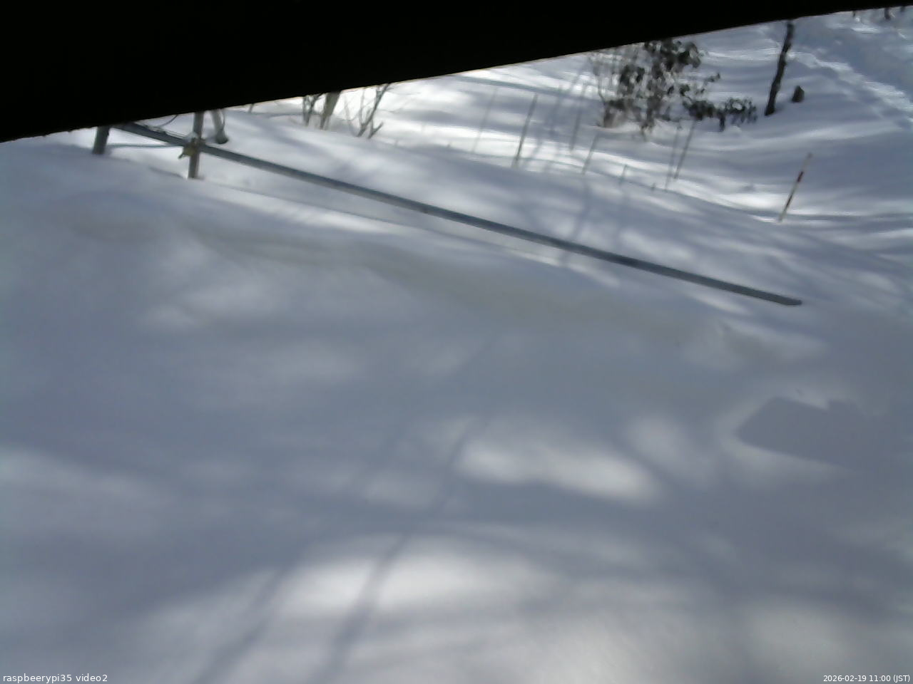 長野県菅平高原 ゆたか山荘 駐車場 2026/02/19 11:00