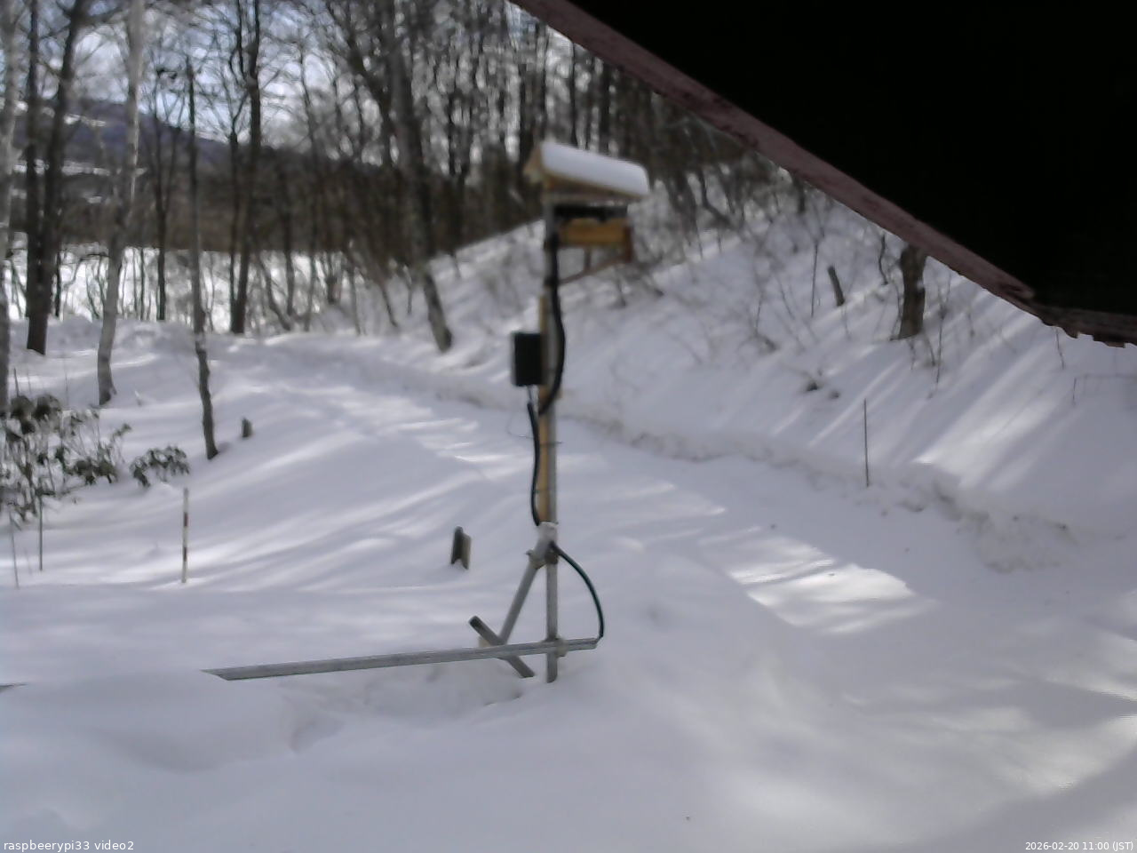長野県菅平高原 ゆたか山荘 南側 2026/02/20 11:00