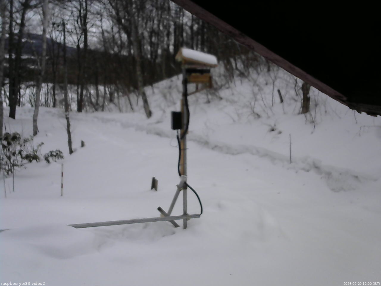 長野県菅平高原 ゆたか山荘 南側 2026/02/20 12:00