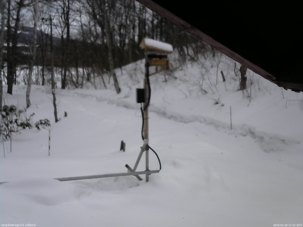 長野県菅平高原 ゆたか山荘 南側 2026/02/20 12:15