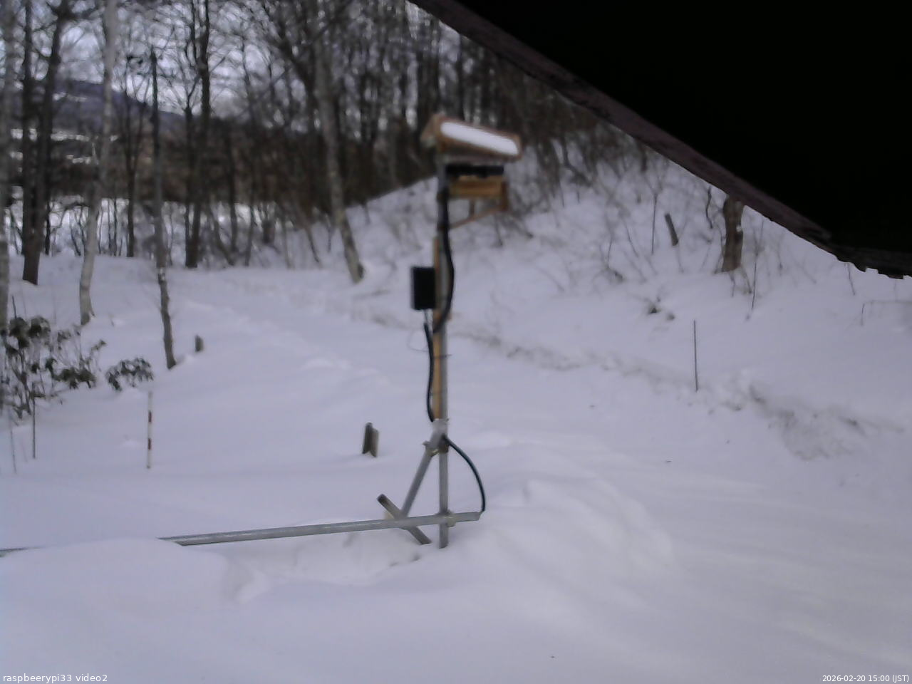 長野県菅平高原 ゆたか山荘 南側 2026/02/20 15:00