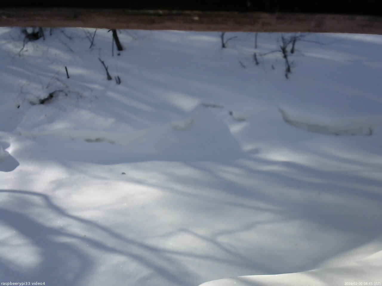 長野県菅平高原 ゆたか山荘 東側(坂下) 2026/02/20 08:45