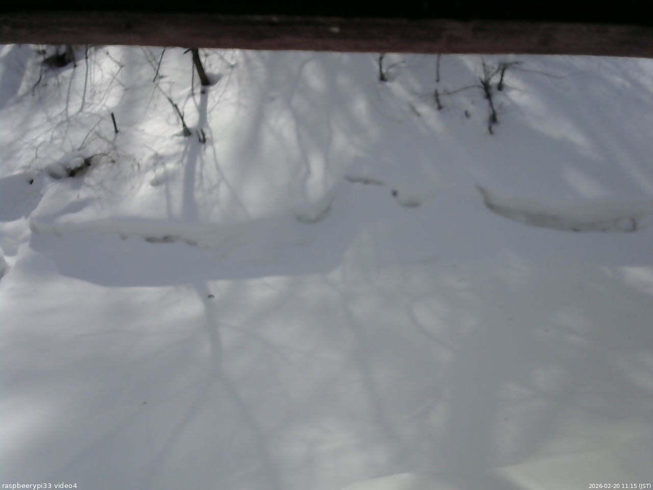 長野県菅平高原 ゆたか山荘 東側(坂下) 2026/02/20 11:15