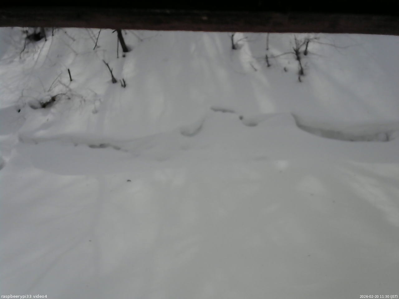 長野県菅平高原 ゆたか山荘 東側(坂下) 2026/02/20 11:30