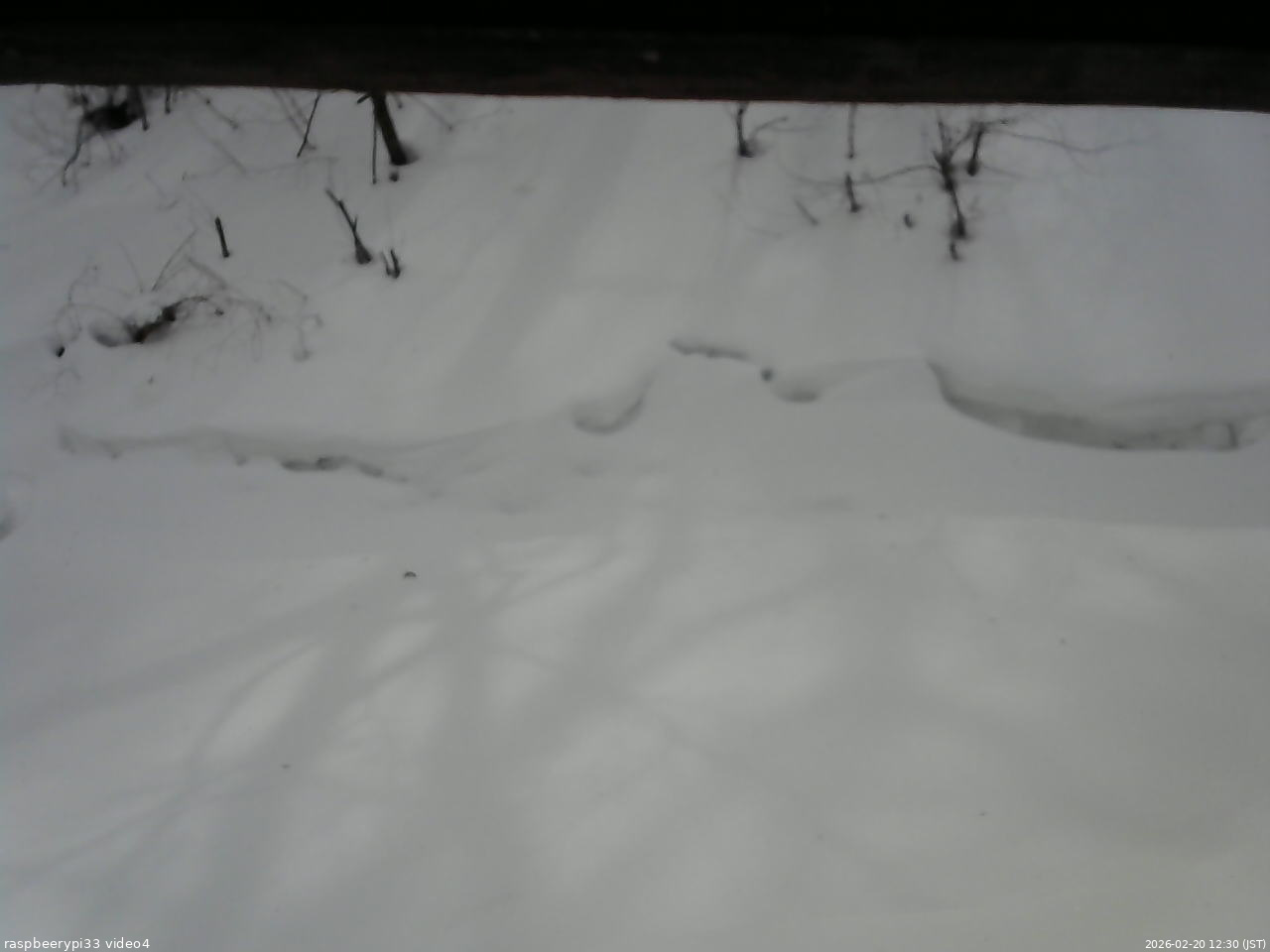 長野県菅平高原 ゆたか山荘 東側(坂下) 2026/02/20 12:30