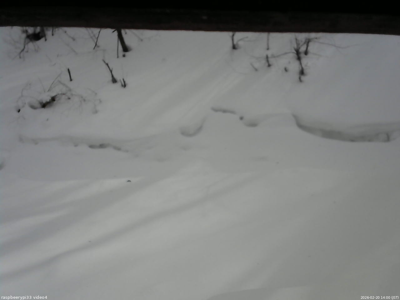 長野県菅平高原 ゆたか山荘 東側(坂下) 2026/02/20 14:00