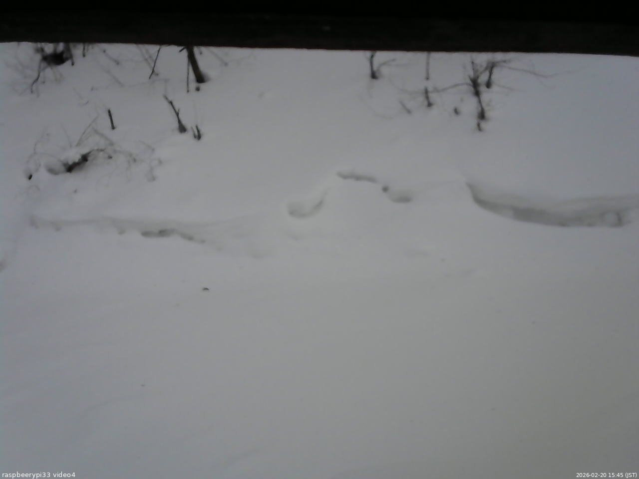 長野県菅平高原 ゆたか山荘 東側(坂下) 2026/02/20 15:45