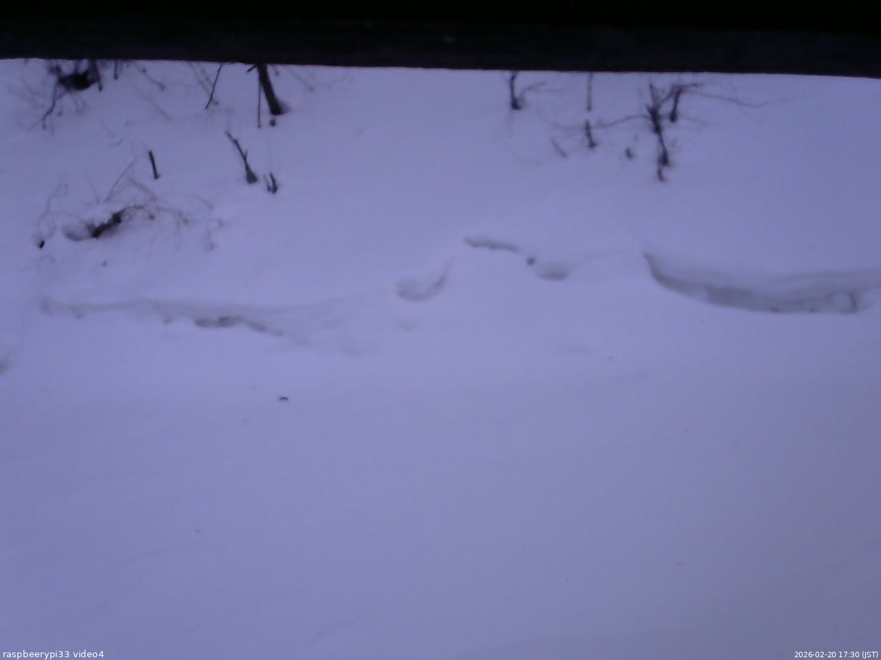 長野県菅平高原 ゆたか山荘 東側(坂下) 2026/02/20 17:30