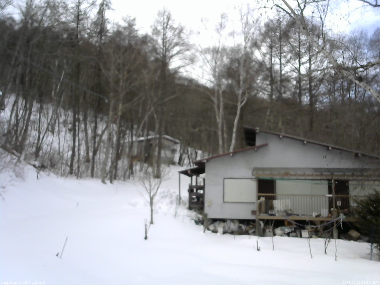長野県菅平高原 ゆたか山荘 西側(坂上) 2026/02/20 13:30