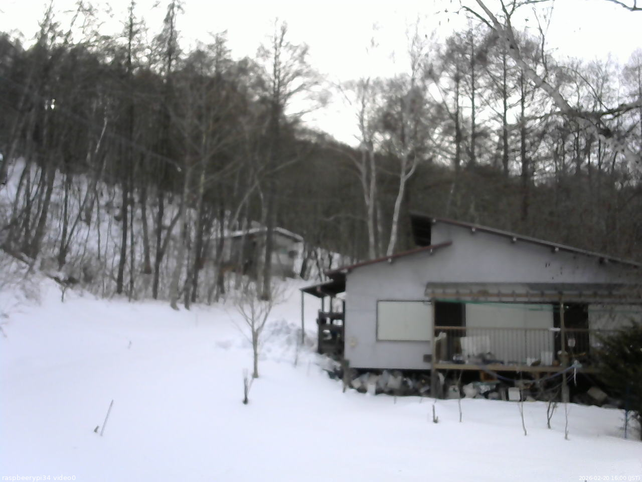 長野県菅平高原 ゆたか山荘 西側(坂上) 2026/02/20 16:00