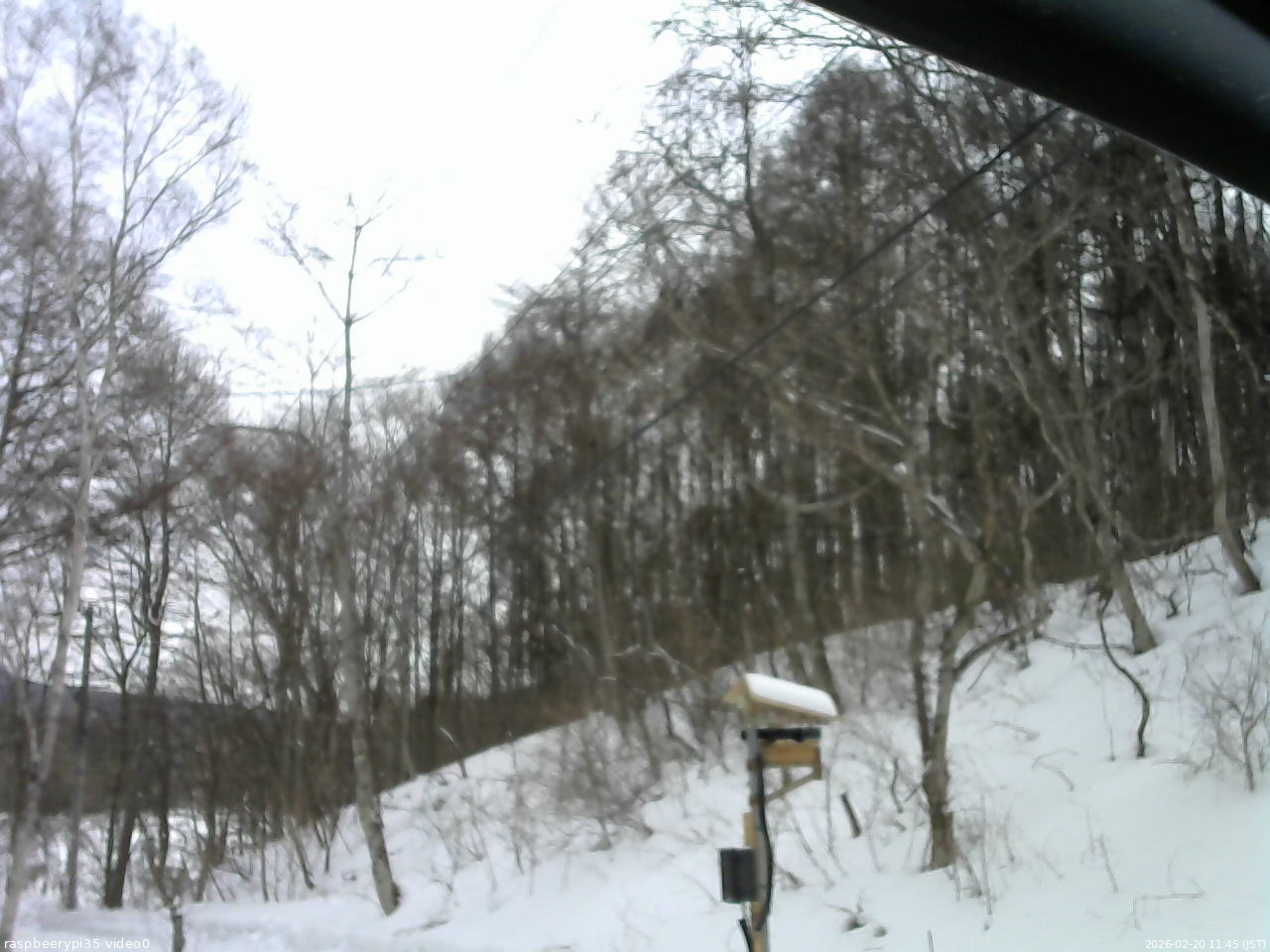 長野県菅平高原 ゆたか山荘 温度計 2026/02/20 11:45