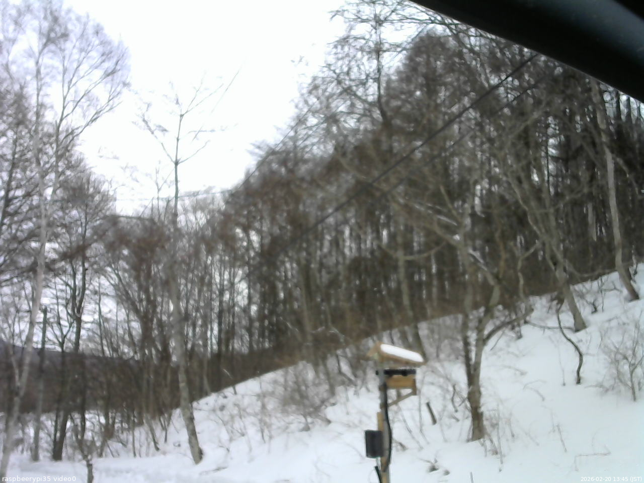 長野県菅平高原 ゆたか山荘 温度計 2026/02/20 13:45