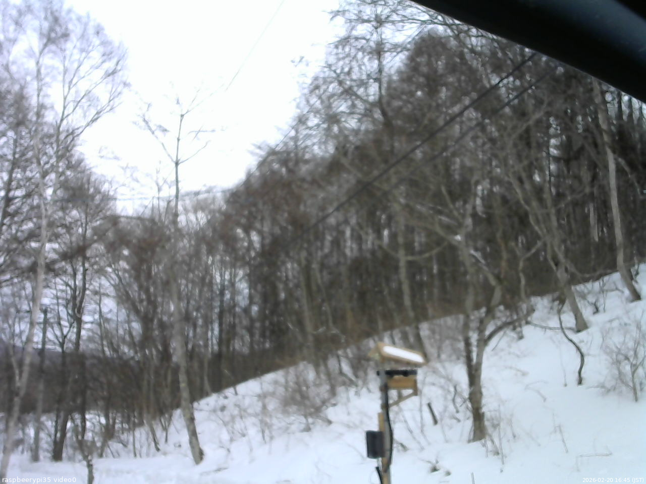 長野県菅平高原 ゆたか山荘 温度計 2026/02/20 16:45