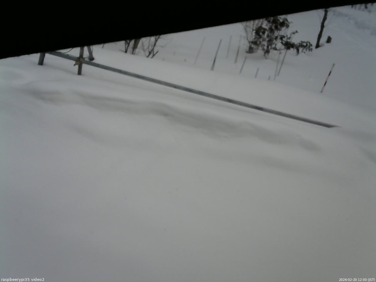長野県菅平高原 ゆたか山荘 駐車場 2026/02/20 12:00