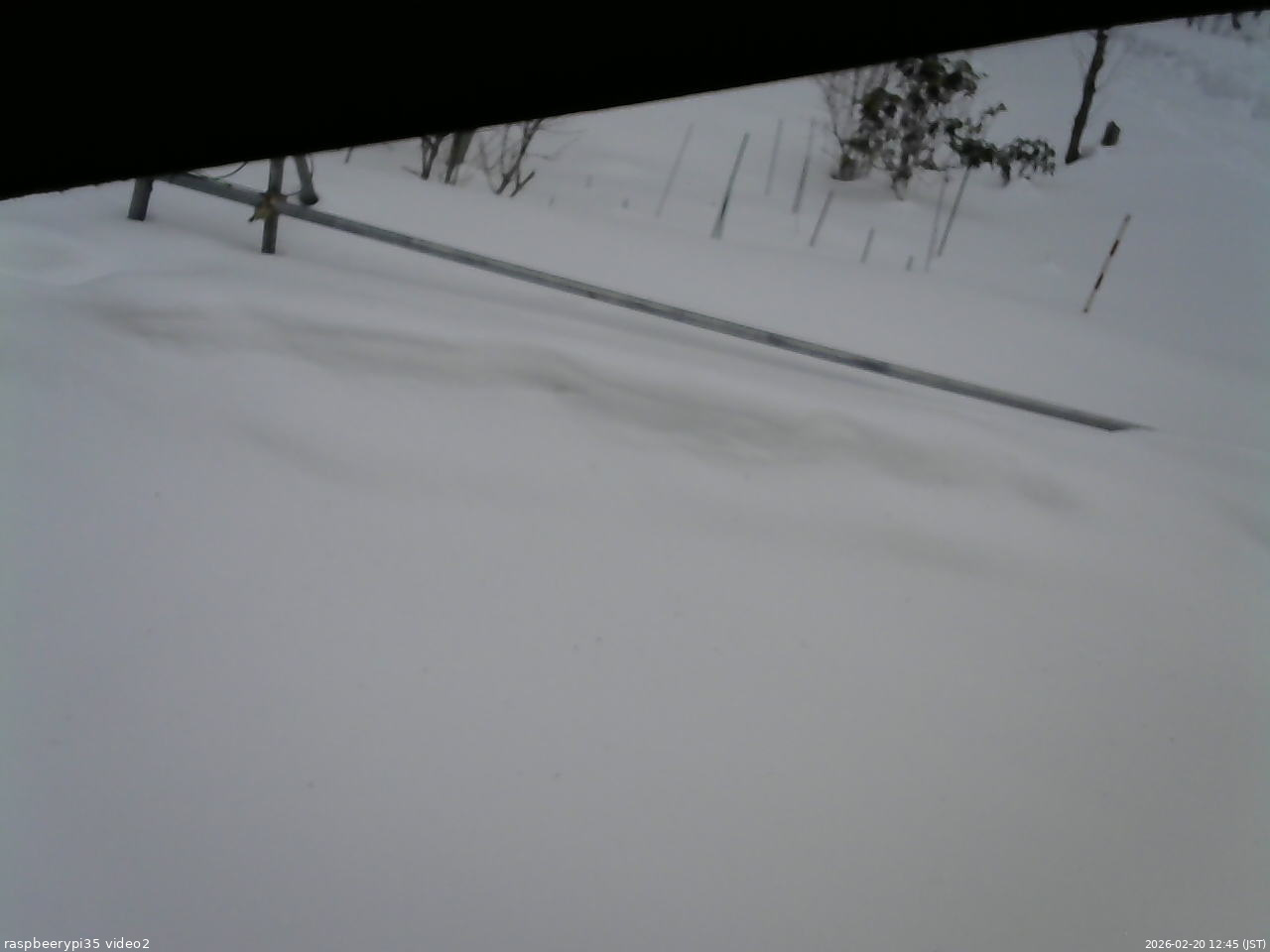 長野県菅平高原 ゆたか山荘 駐車場 2026/02/20 12:45