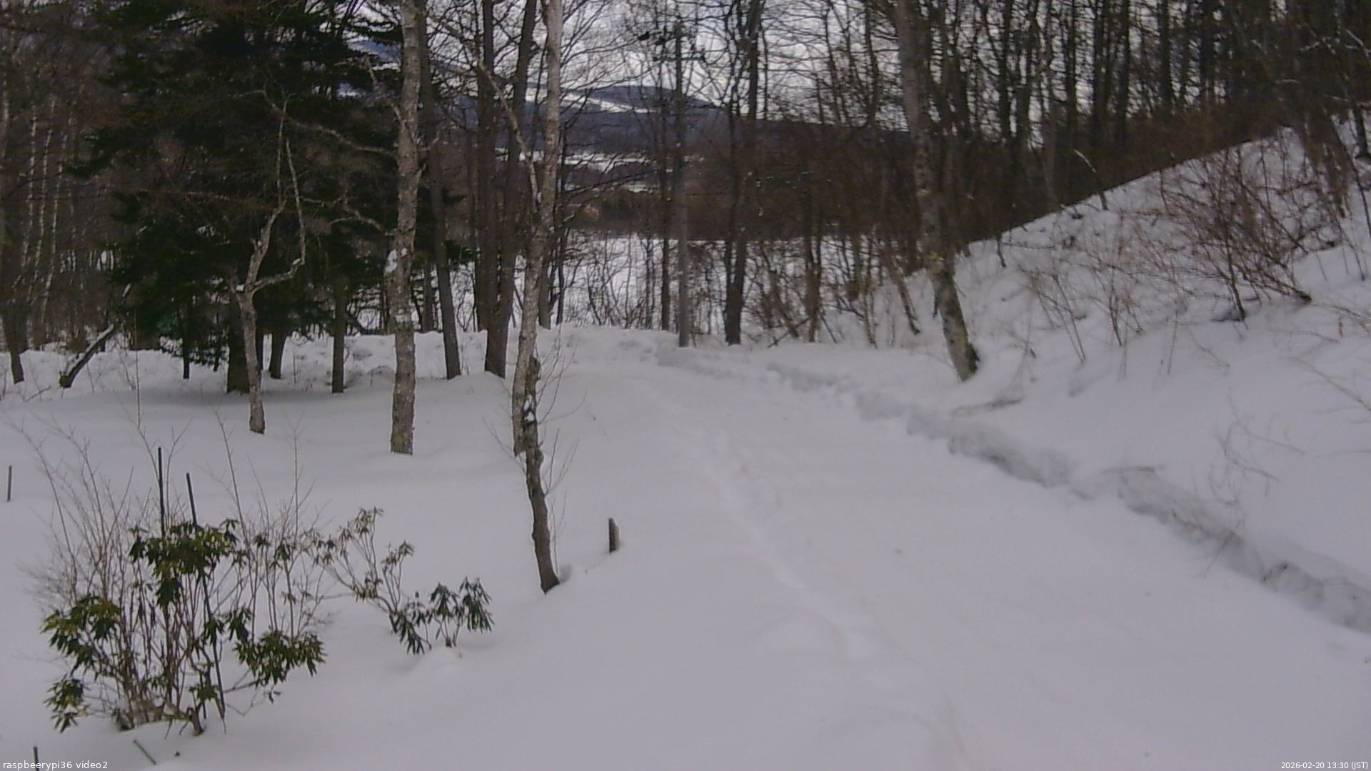 長野県菅平高原 ゆたか山荘 駐車場奥 2026/02/20 13:30