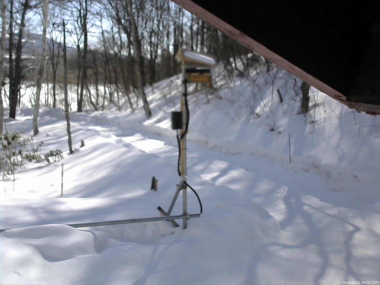 長野県菅平高原 ゆたか山荘 南側 2026/02/21 09:30