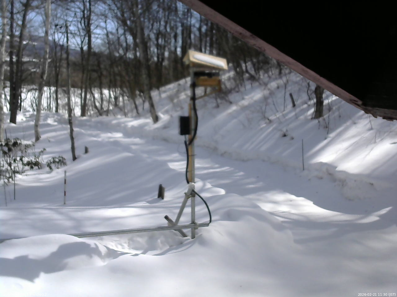 長野県菅平高原 ゆたか山荘 南側 2026/02/21 11:30
