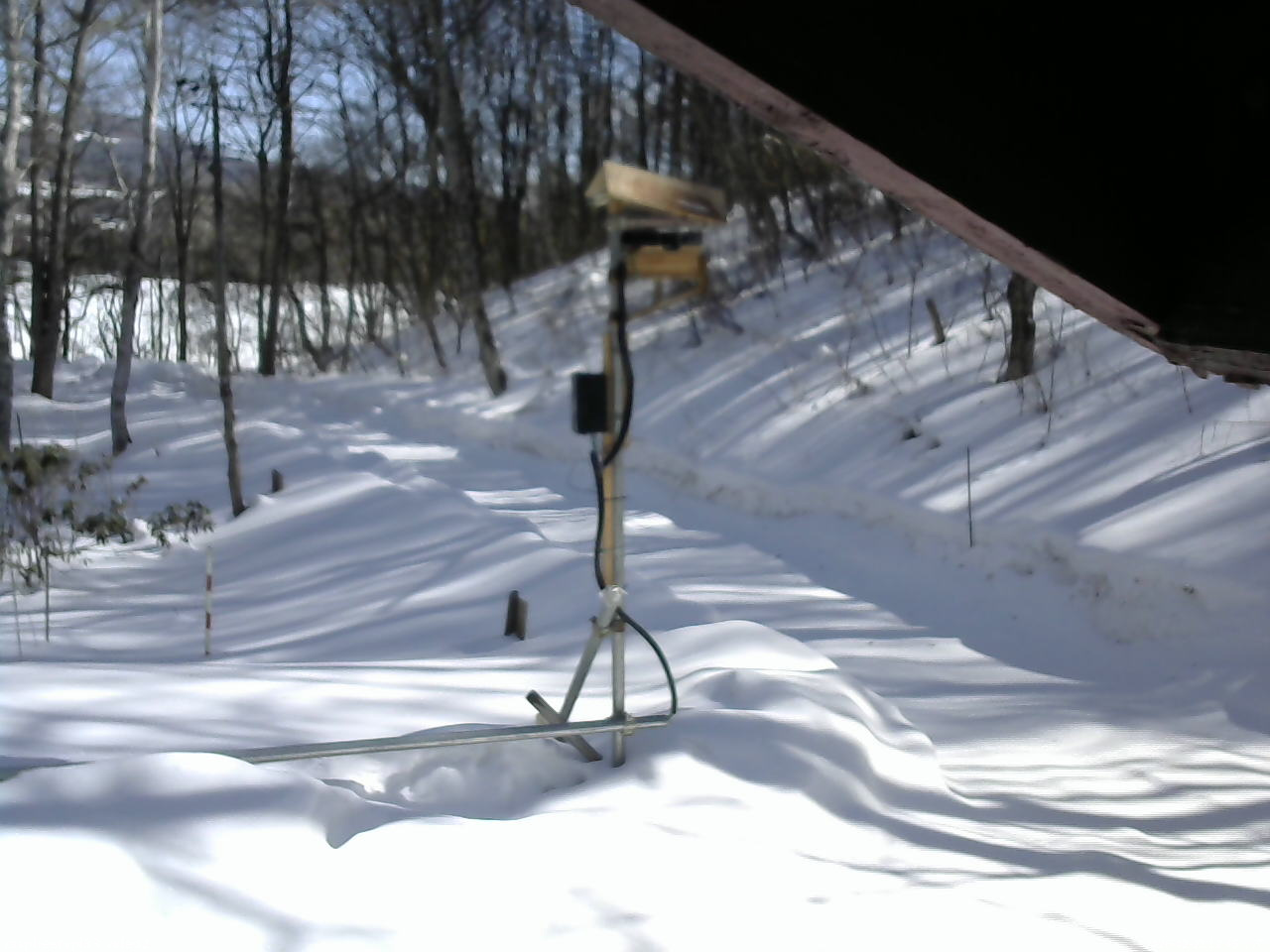 長野県菅平高原 ゆたか山荘 南側 2026/02/21 12:45